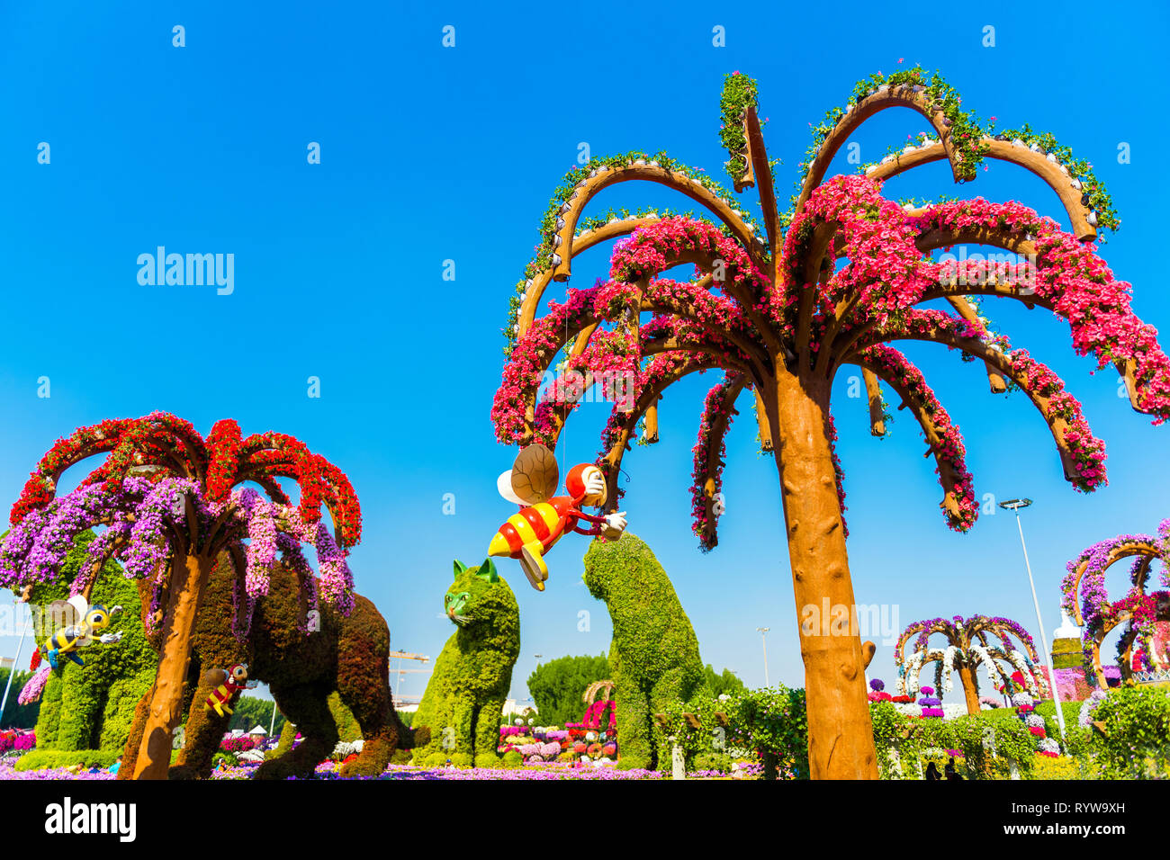 DUBAI, UNITED ARAB EMIRATES DECEMBER 13, 2018 Flower trees in Dubai