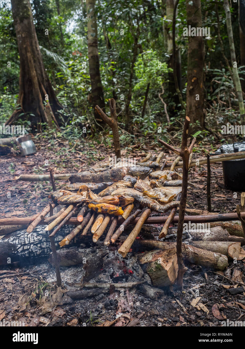 Lagoon, Brazil - March 20, 2018: Grilling fish and bananas on the fireplece on the camp in the amazons jungle Stock Photo