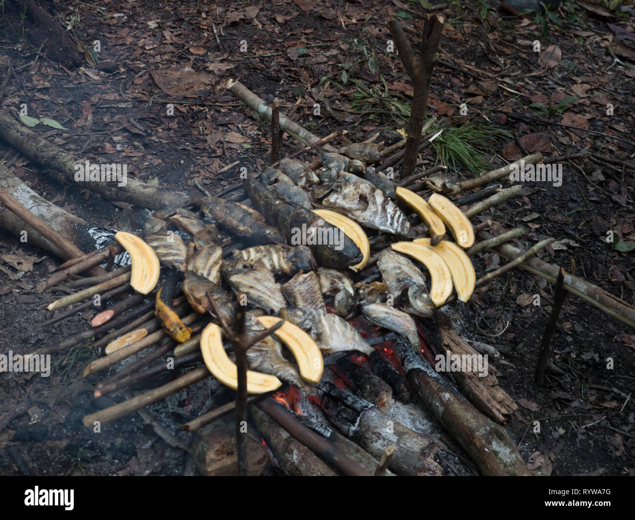 Lagoon, Brazil - March 20, 2018: Grilling fish and bananas on the fireplece on the camp in the amazons jungle Stock Photo