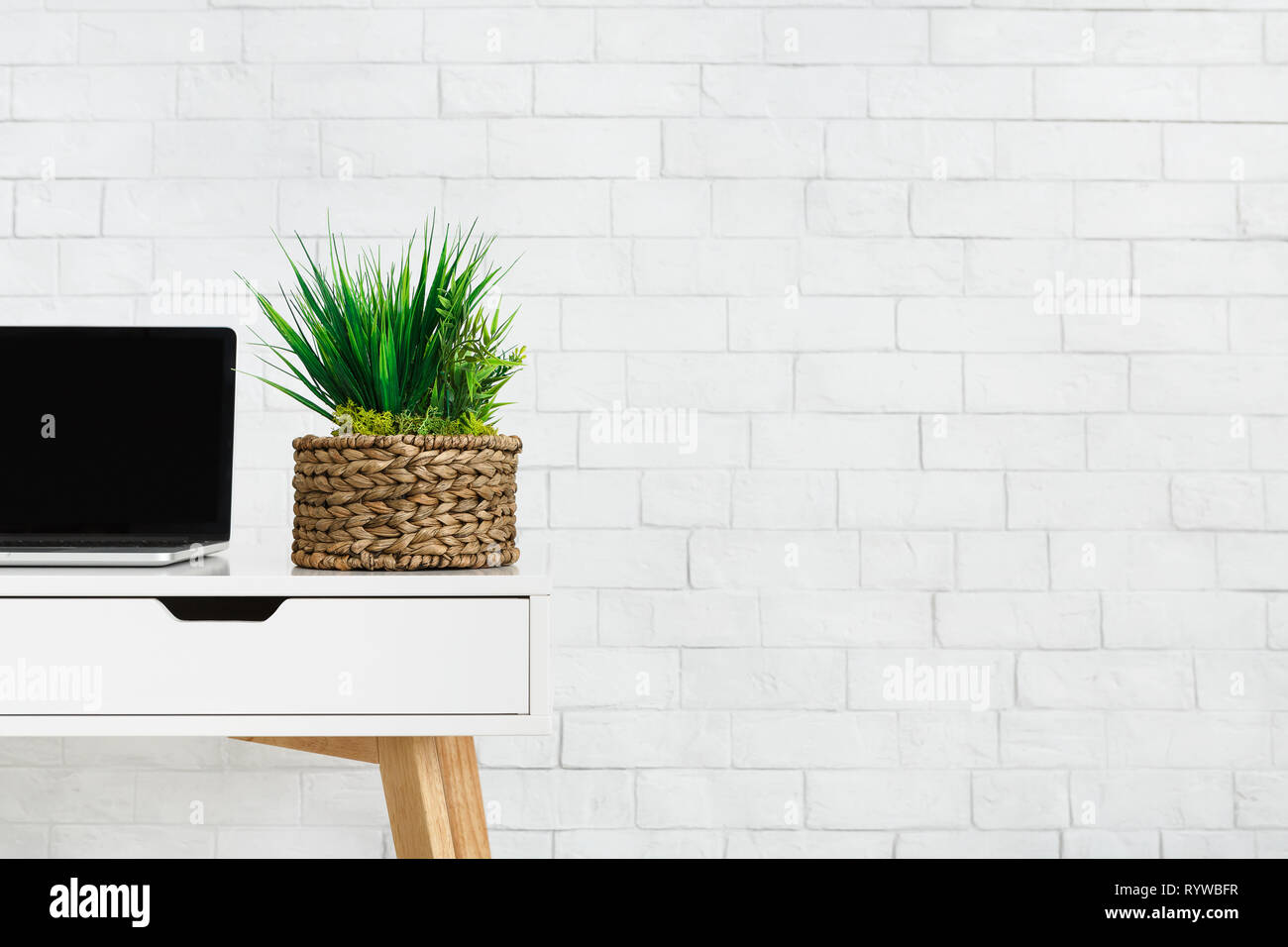 Laptop and pot with plants on desk, copy space Stock Photo