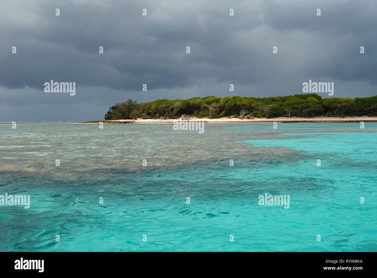 Lady Musgrave Island, Queensland, Australia. 11th Dec, 2012. The Great Barrier Reef Stock Photo