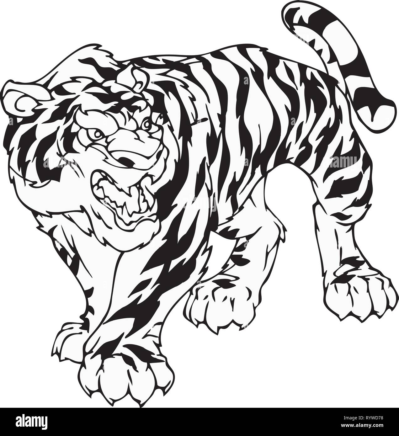 The illustration shows a tiger in black and white contour, that goes forward Stock Vector