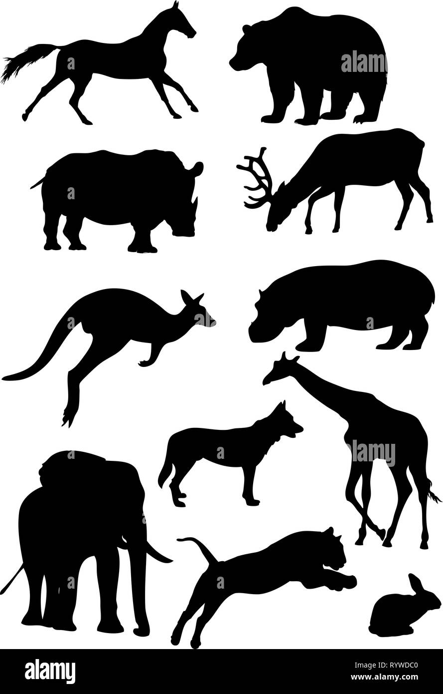 The illustration shows animals, some species of wild mammals. Illustration done in the style of contour drawing, isolated on white background Stock Vector