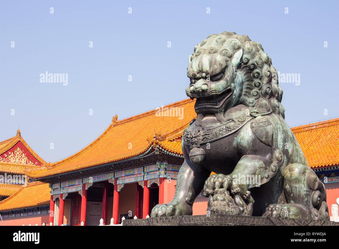 statue of chinese guardian lion forbidden city beijing china (palace