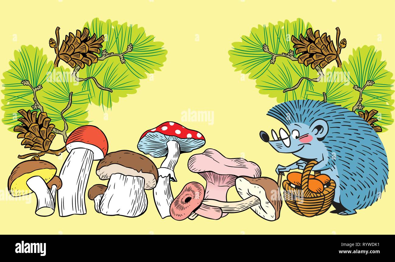 The illustration shows the hedgehog, which collects various mushrooms in the basket. Illustration done on separate layers, in a cartoon style. Stock Vector