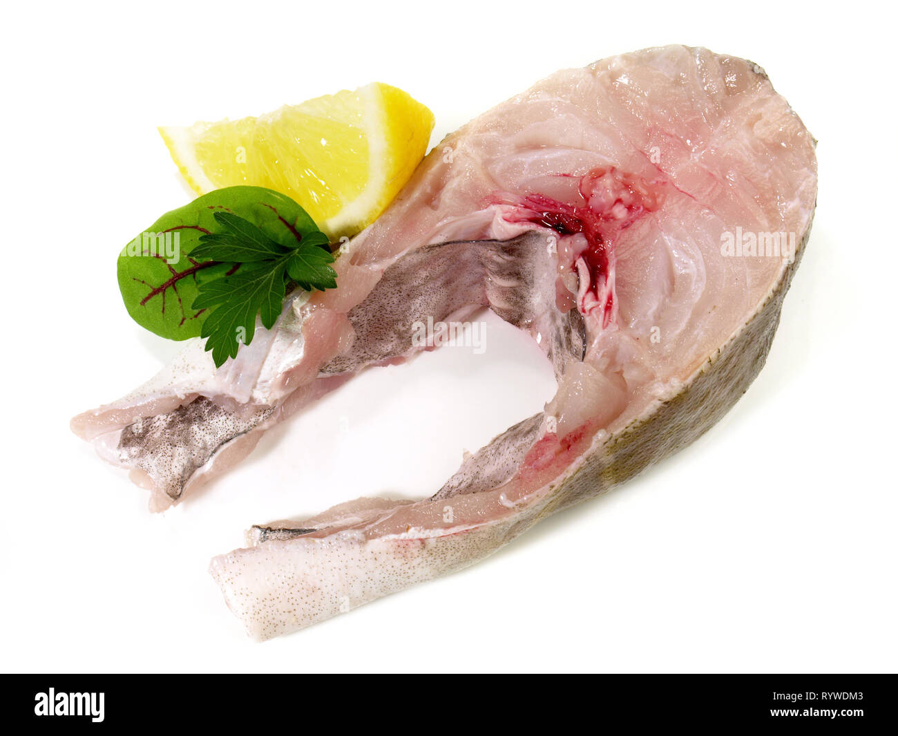 Cod Fish Chop on white Background Stock Photo