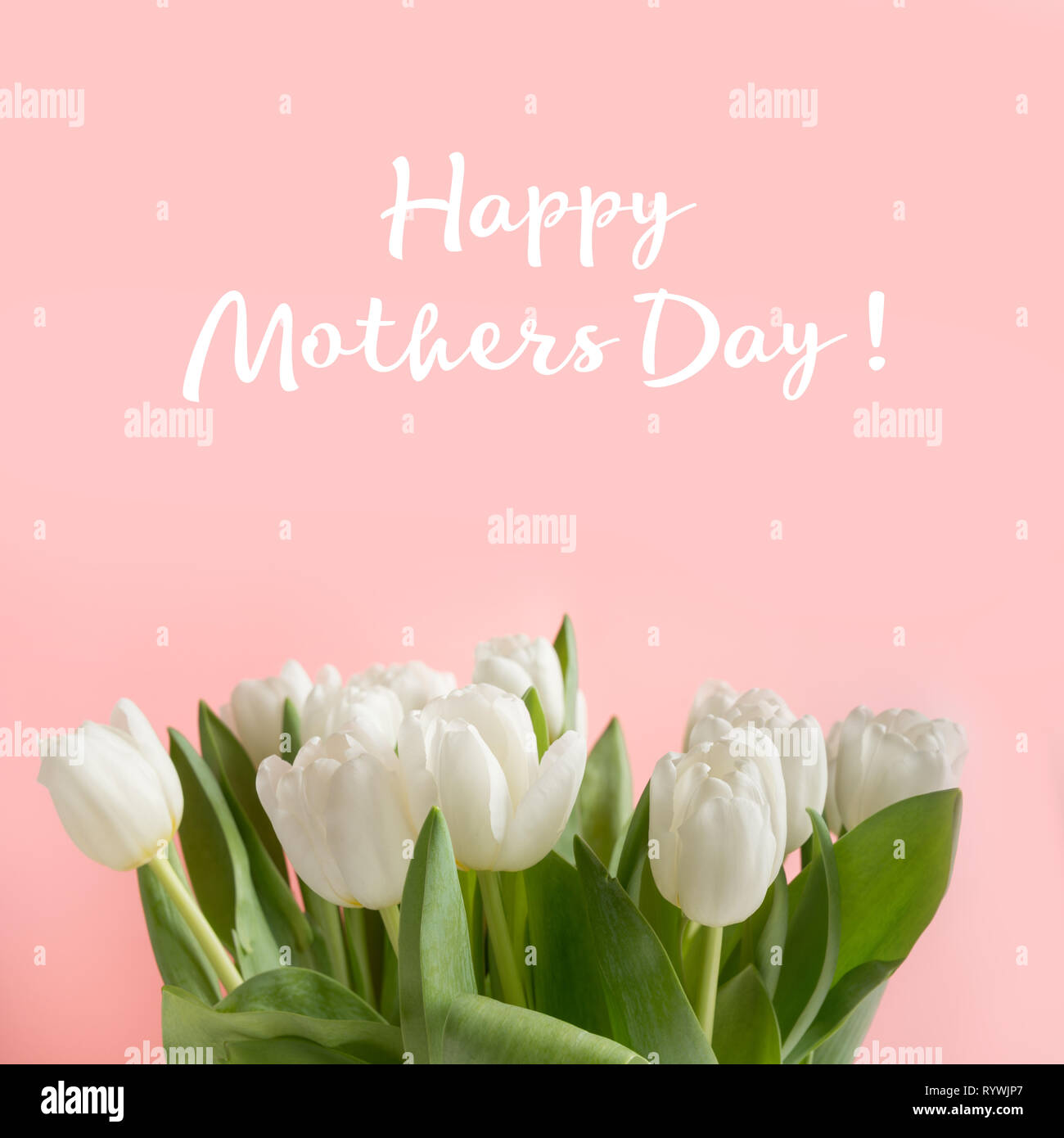 May mothers day card. Border of white tulip on pastel millennial ...