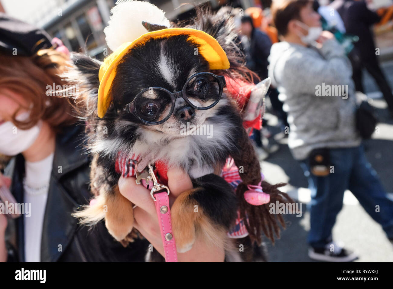 Cosplayers at an event in Osaka, Japan, in March 2019. Stock Photo