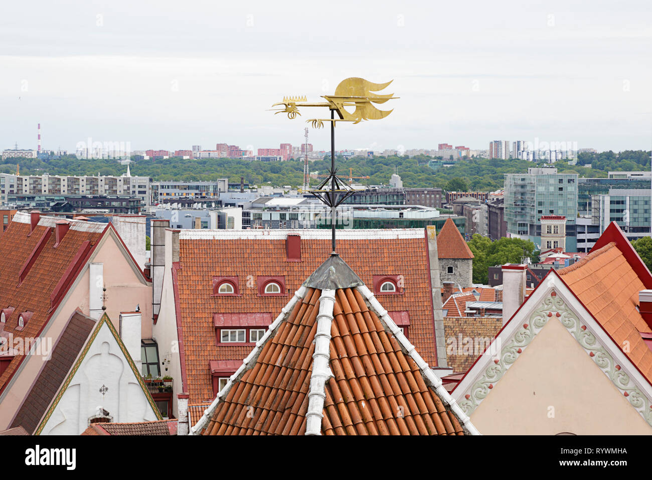 Metal weather vane in the shape of a rooster over the city. Tallinn, Estonia Stock Photo