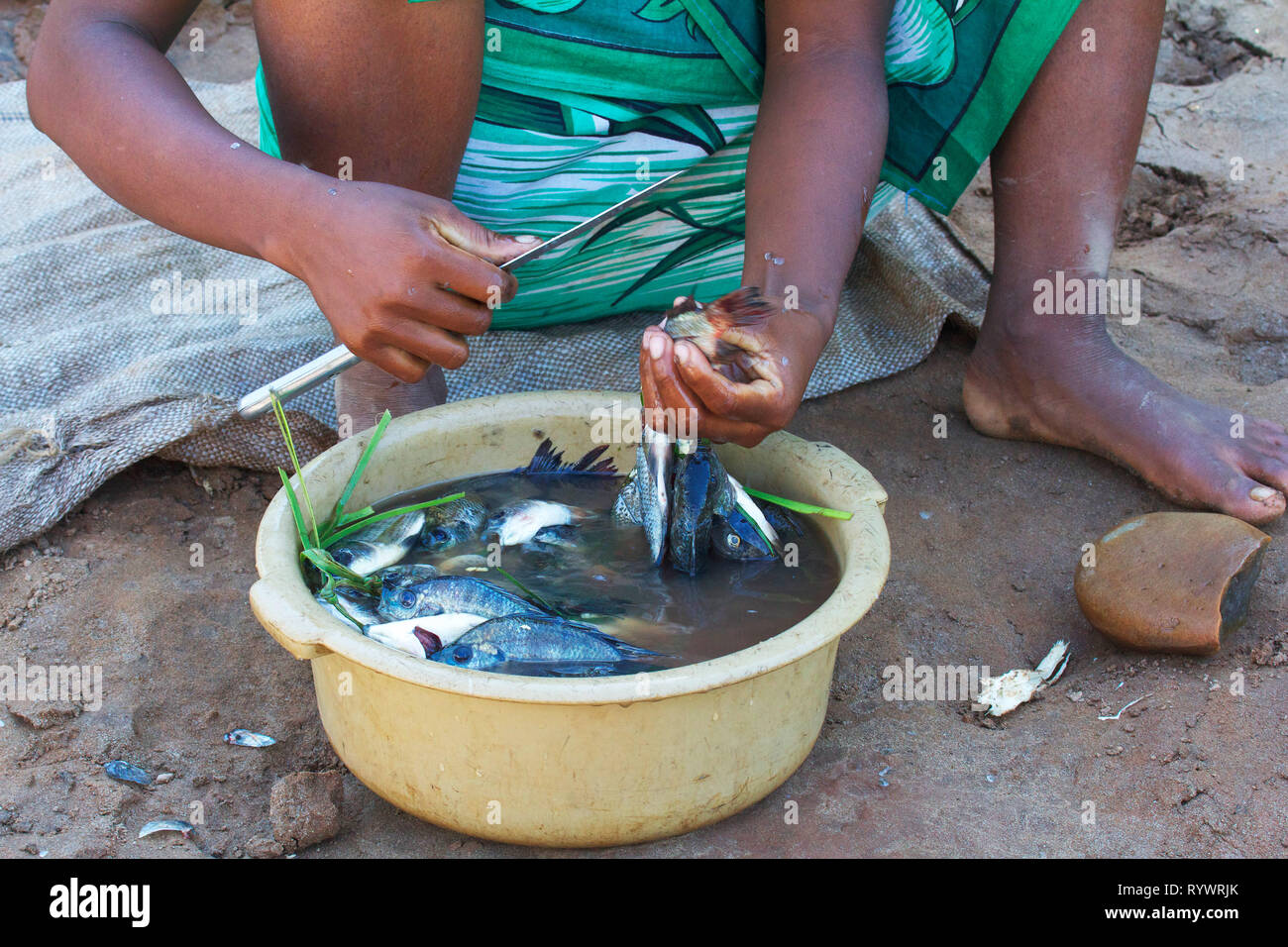 Cleaning the fish by Tsiribihina river, Madagascar Stock Photo Alamy