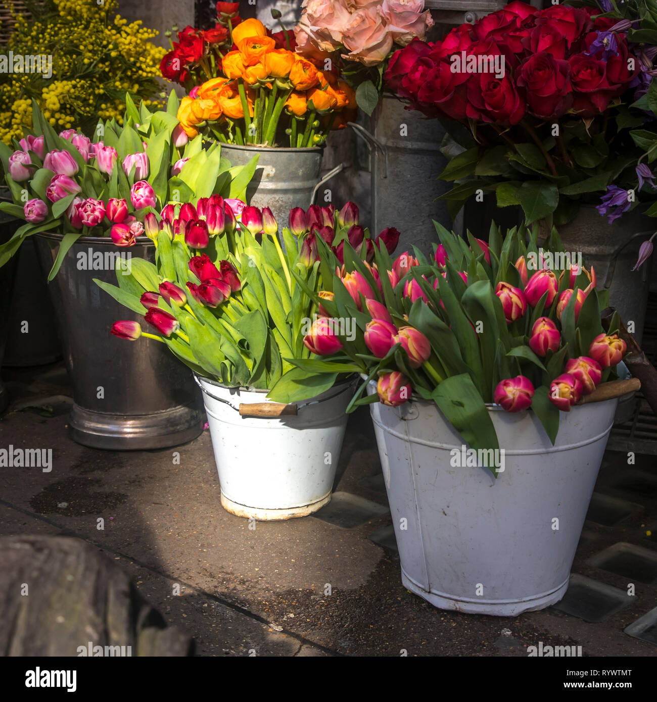 Many different spring flowers in baskets for bouquets on sale in the market Stock Photo