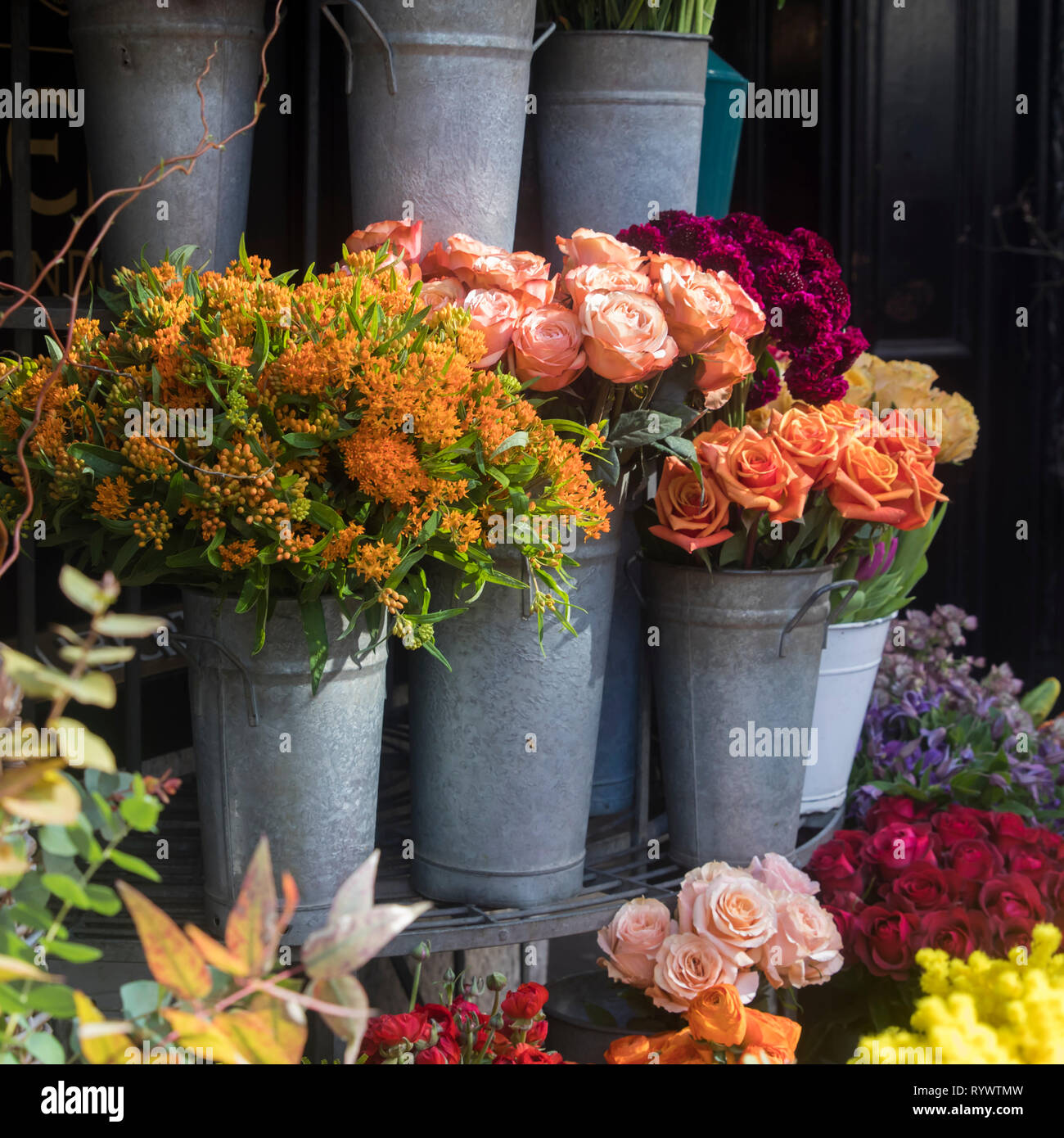 Many different spring flowers in baskets for bouquets on sale in the market Stock Photo
