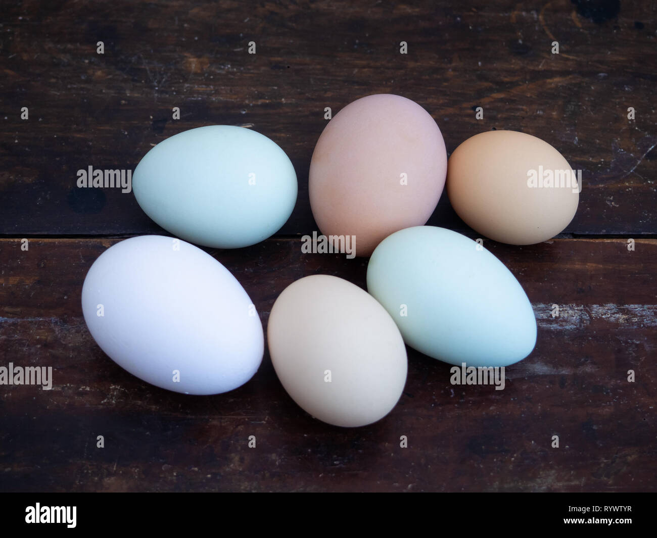 A group of ecological eggs of various colors, white eggs, blue eggs and