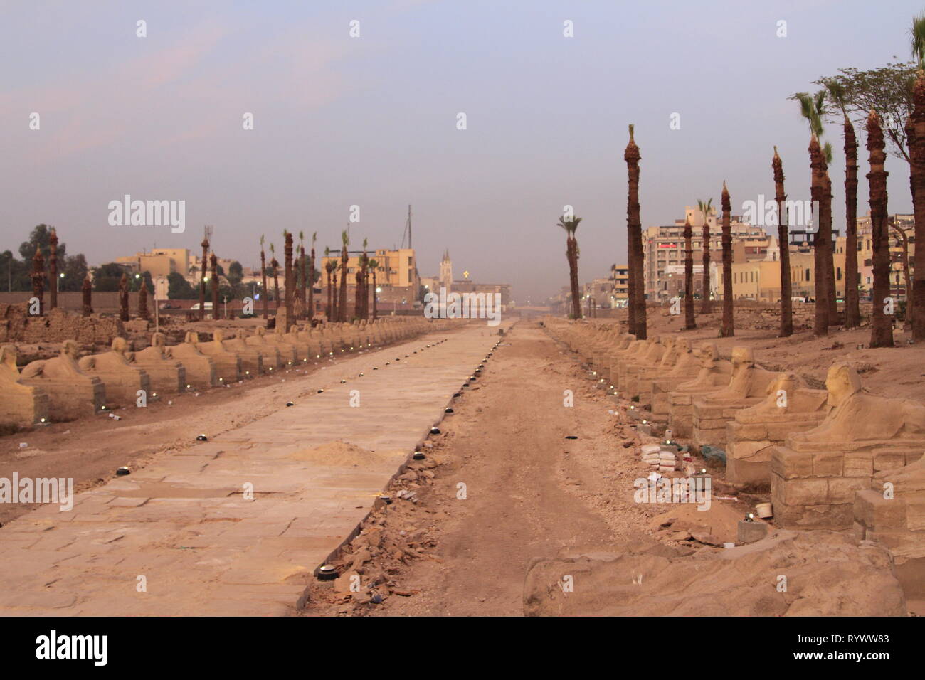 Avenue of the Sphinxes near sunset, Luxor Temple, Luxor, Upper Egypt Stock Photo