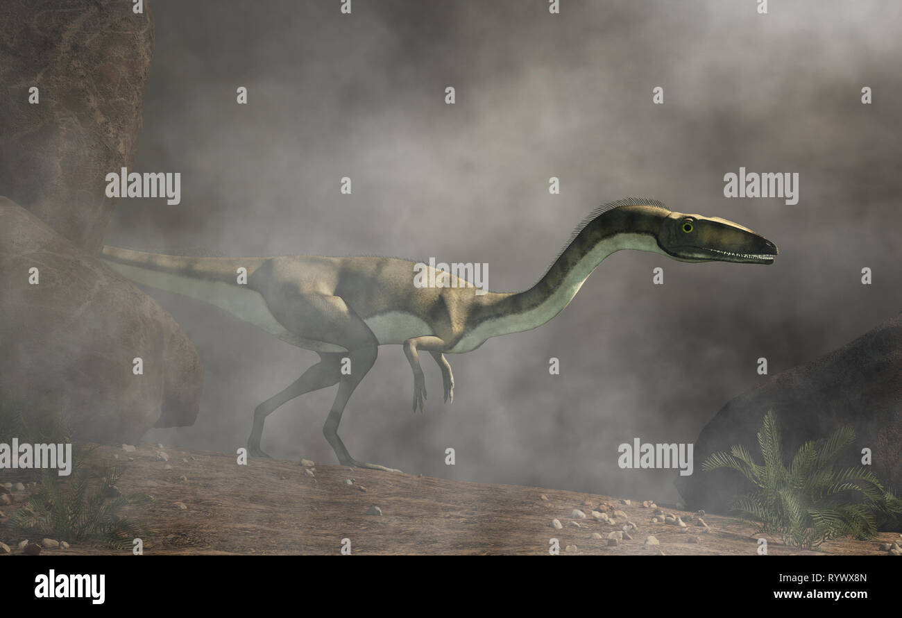 Coelophysis, one of the earliest dinosaurs, was a carnivorous theropod.  Here it stalks through a dense fog. 3D Rendering Stock Photo