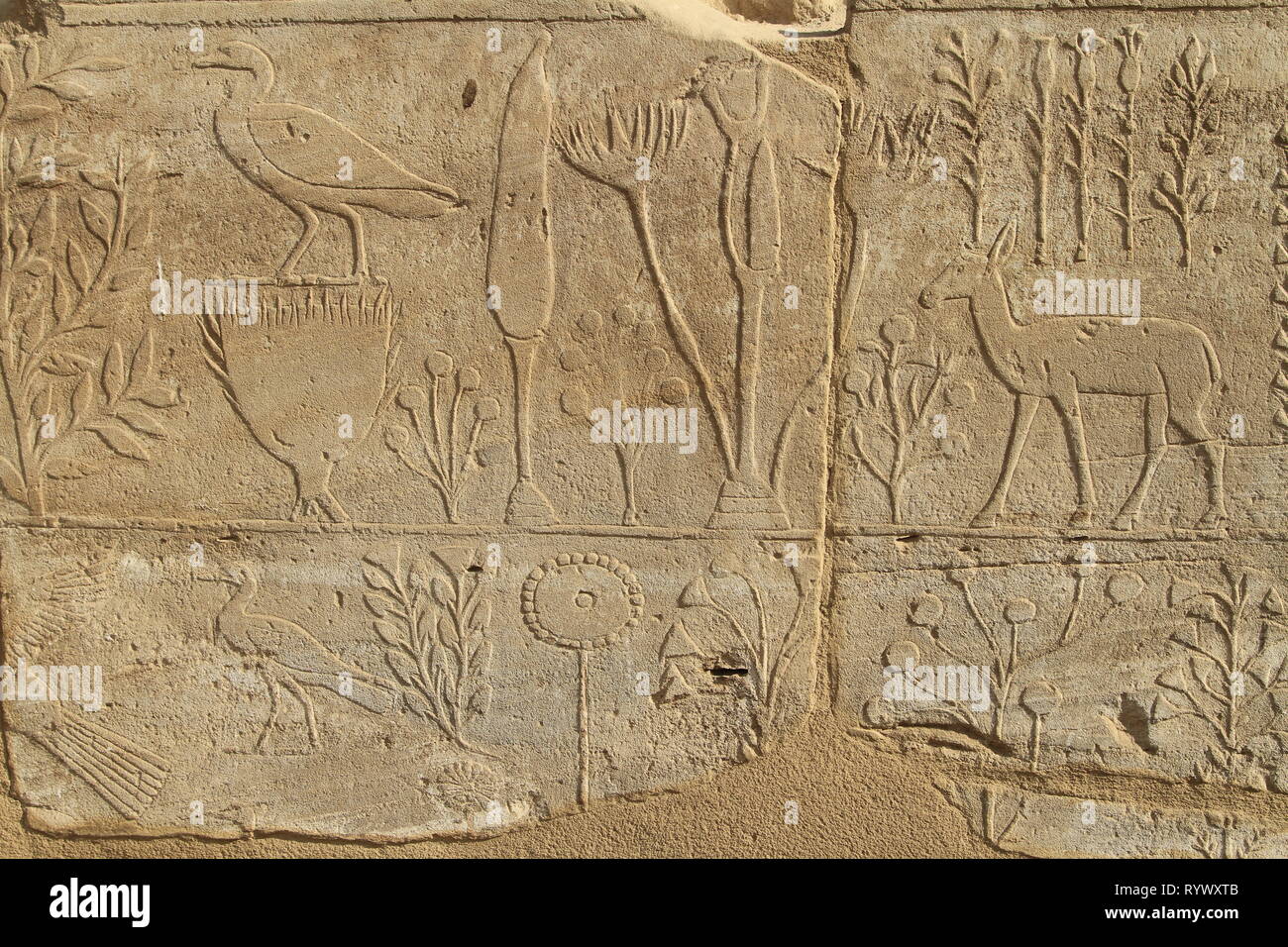 Representations of plants and animals brought from Syria by Thutmose