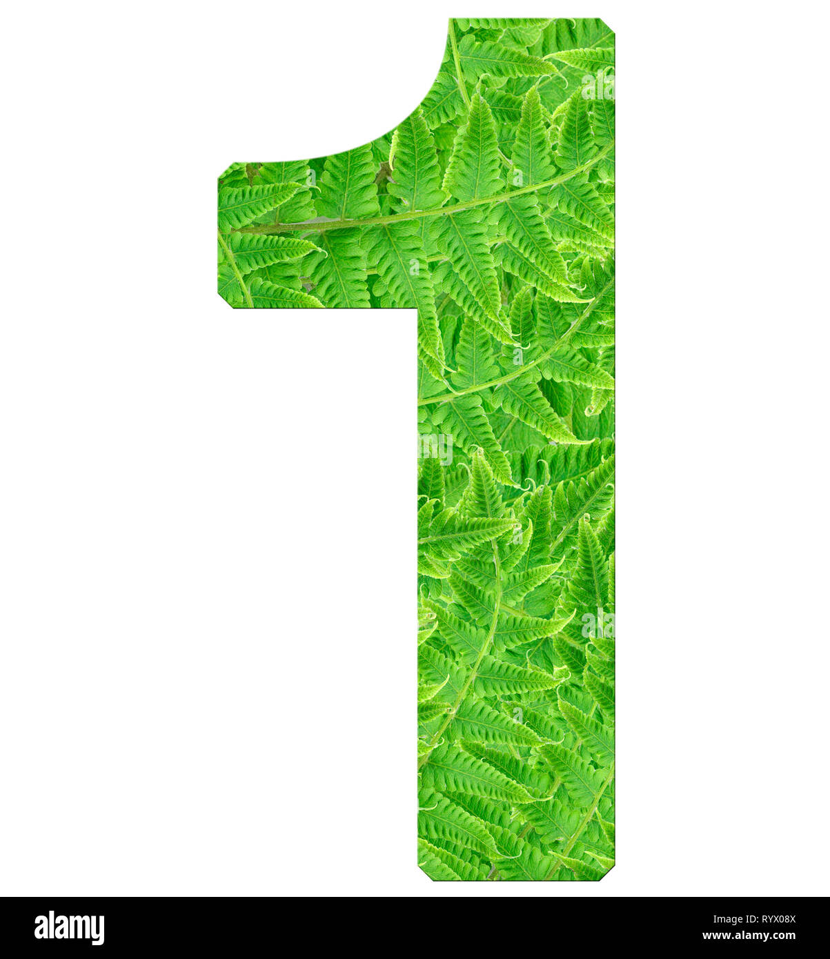 number 1 with fern texture, isolated on white background, font
