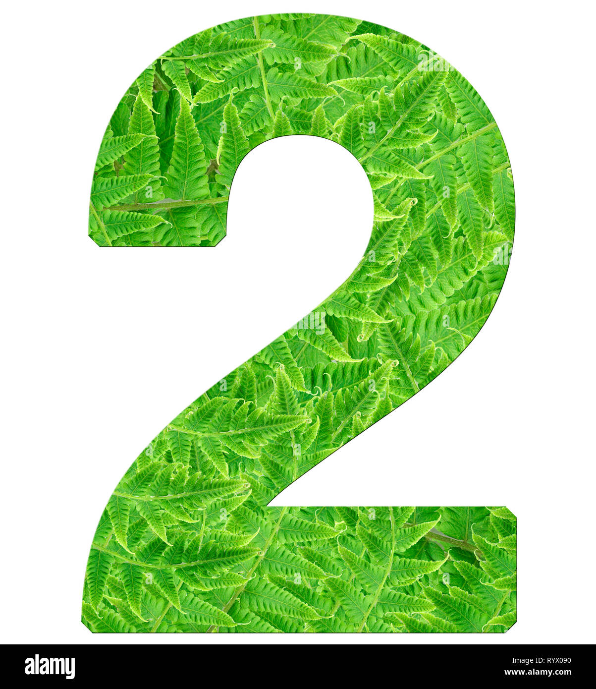 number 2 with fern texture, isolated on white background, font