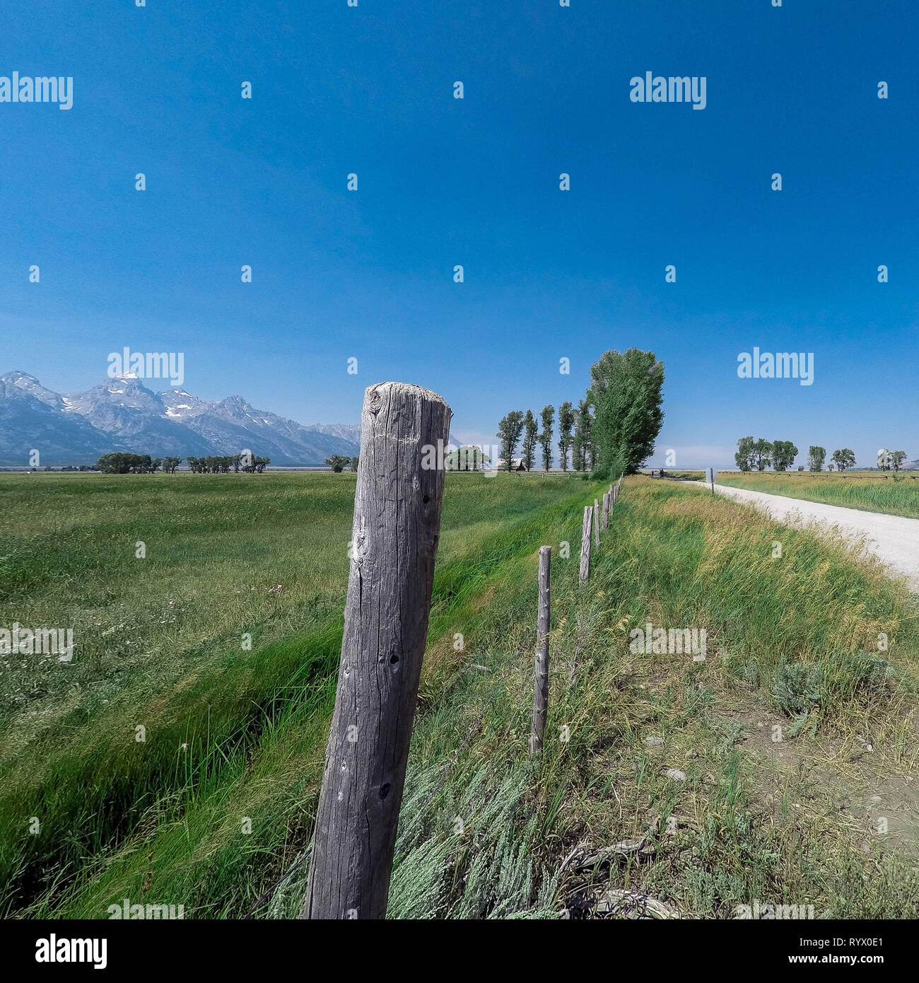 A country scene from Mormon Row in Grand Teton National Park.  Old barns on a country farm in an open field Stock Photo