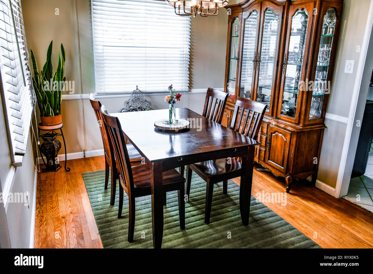 A dining room table and china cabinet on a hardwood floor with a green rug.  Snake plant and flowers on display. Stock Photo