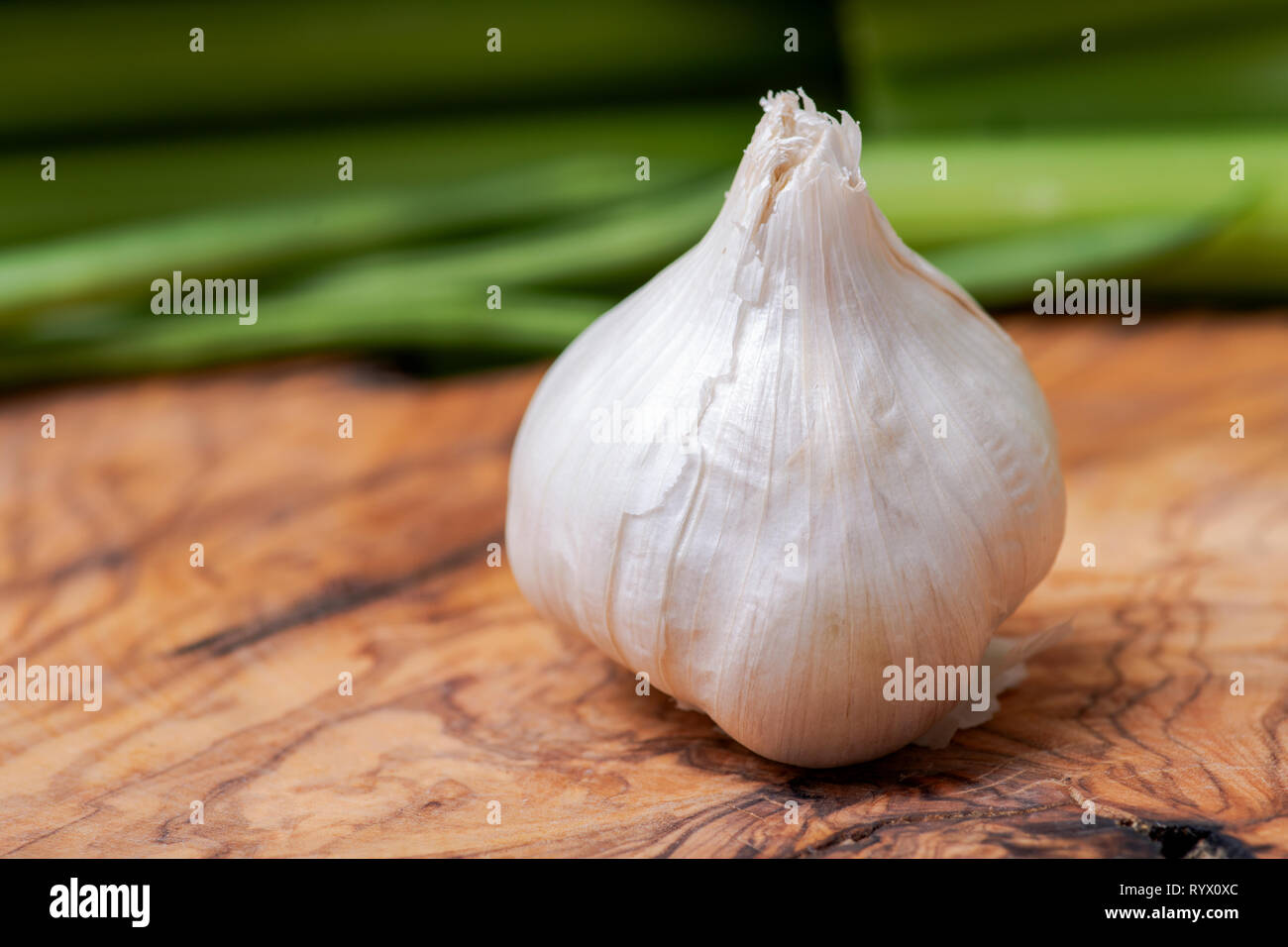 Bulbous plant various hi res stock photography and images   Alamy