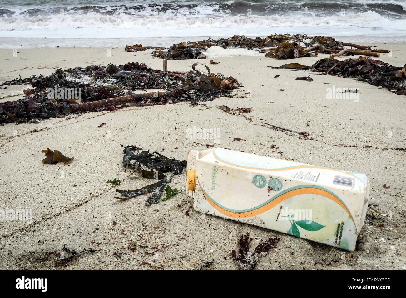 Marine pollution on a beach in Brittany (north-western France). Carton package Stock Photo