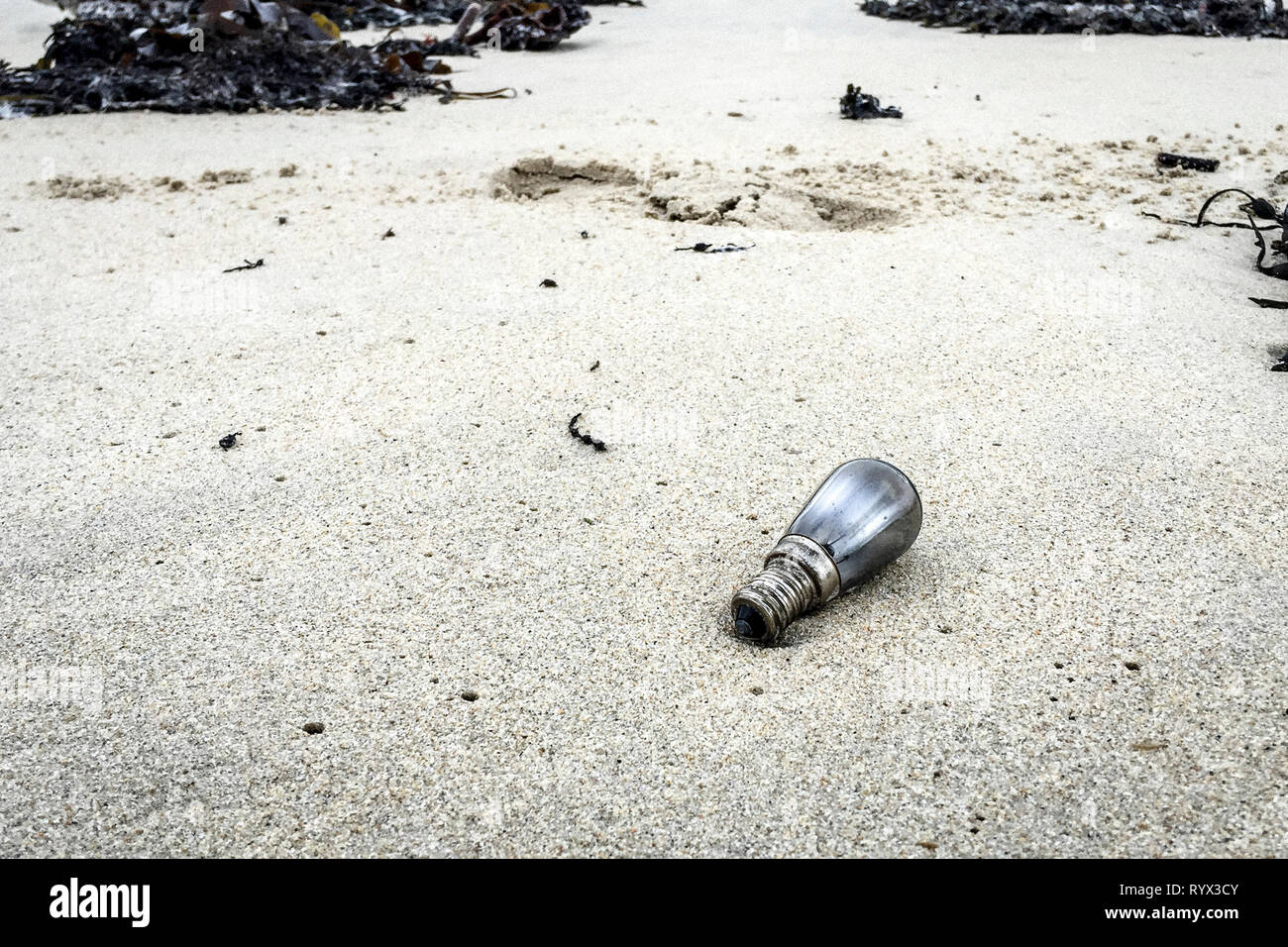 Marine pollution on a beach in Brittany (north-western France). Bulb Stock Photo
