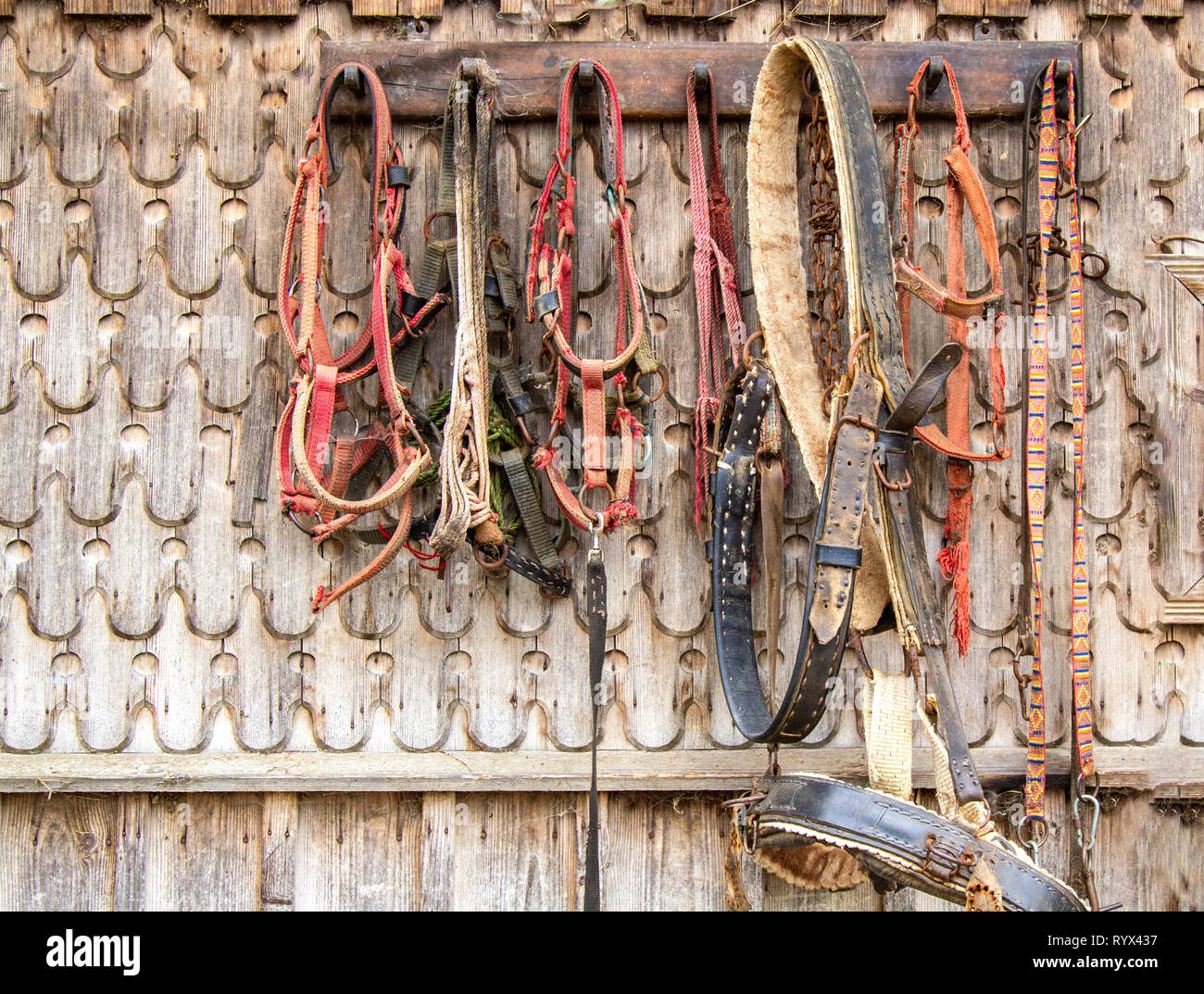 Vintage horse tack hi-res stock photography and images - Alamy