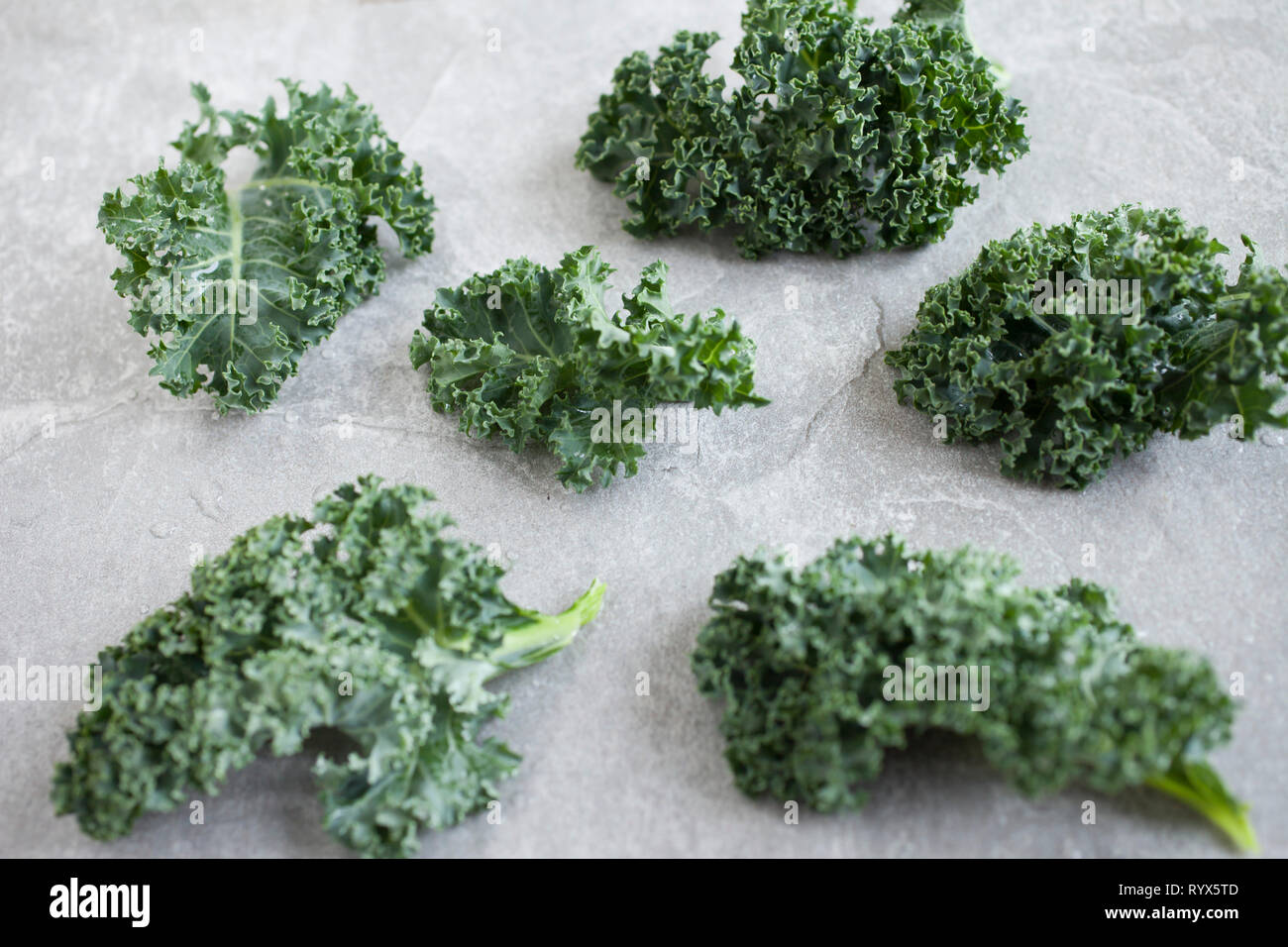 Healthy Raw Green Kale Stock Photo