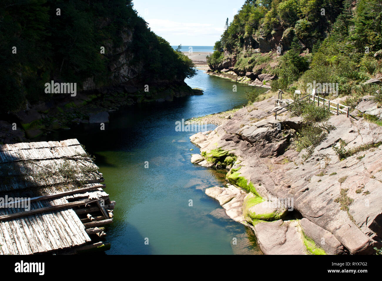 Point wolfe hi-res stock photography and images - Alamy