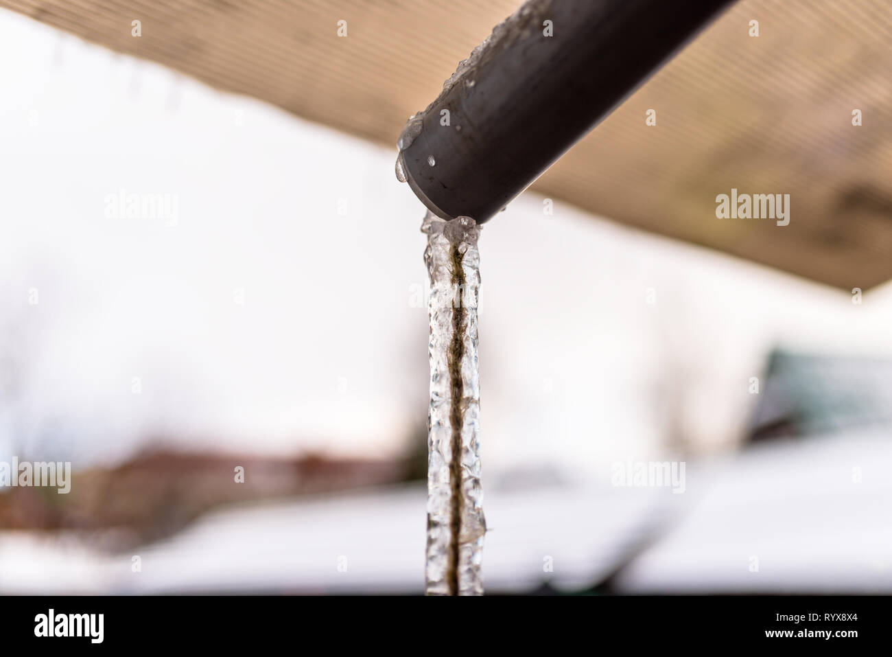 Frozen water flowing from the roof through a plastic pipe with a string