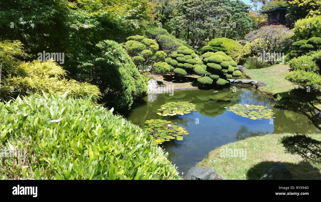 The beautiful japanese botanical gardens in San Francisco, California, USA Stock Photo