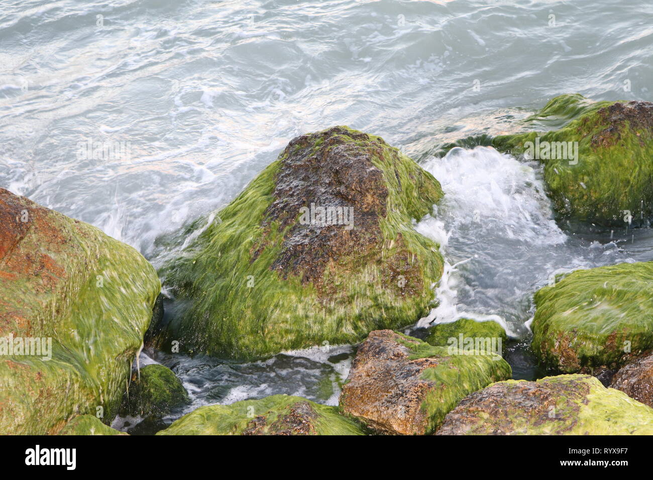 Moss rocks and rushing waves of water into the inlet at John's Pass in  Florida. Stock Photo