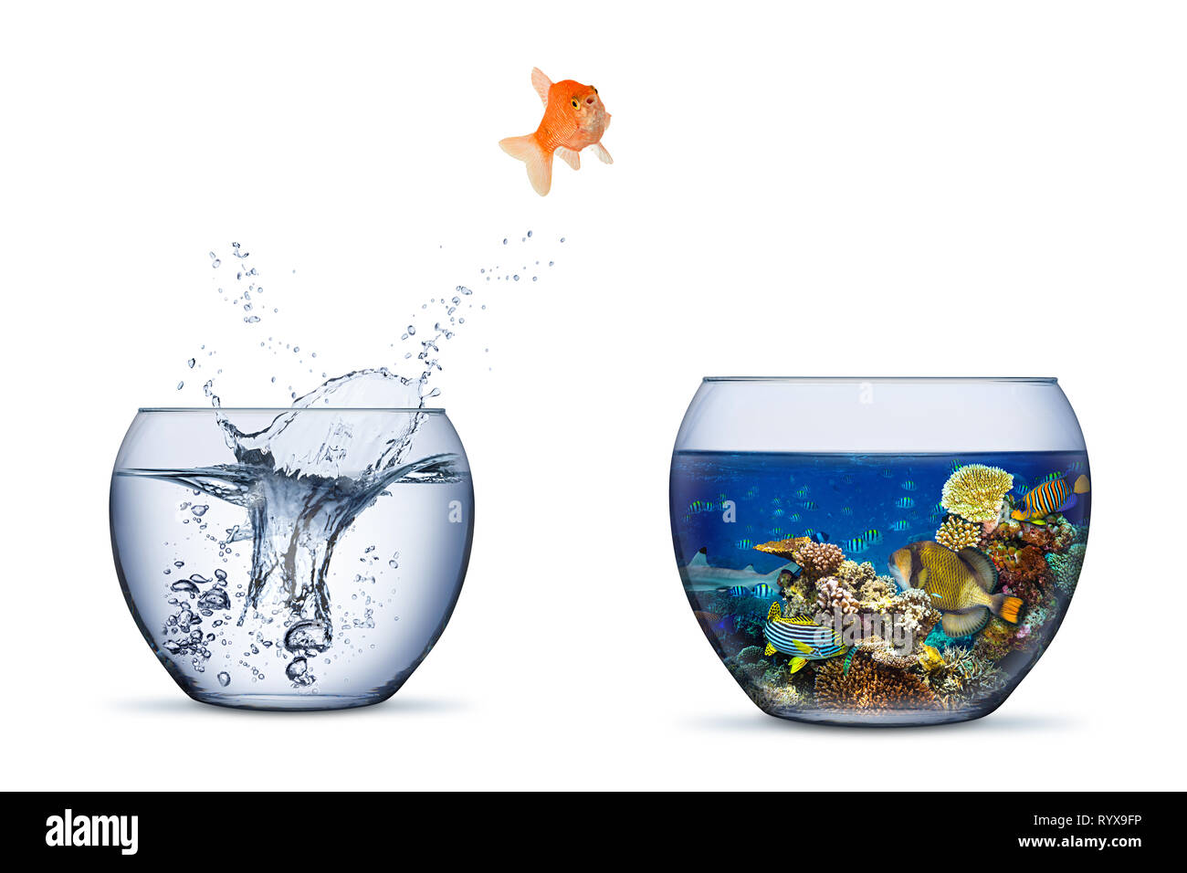 Ocean saltwater wave Cut Out Stock Images Pictures Alamy