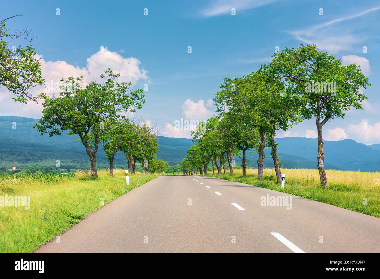 countryside road in to the mountains. trees and rural fields on both sides along the straight way. wonderful sunny weather with fluffy clouds on a blu Stock Photo