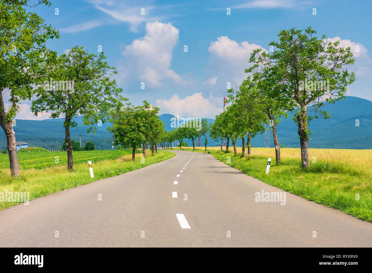 countryside road in to the mountains. trees and rural fields on both sides along the winding way. car ahead in the distance. wonderful sunny weather w Stock Photo