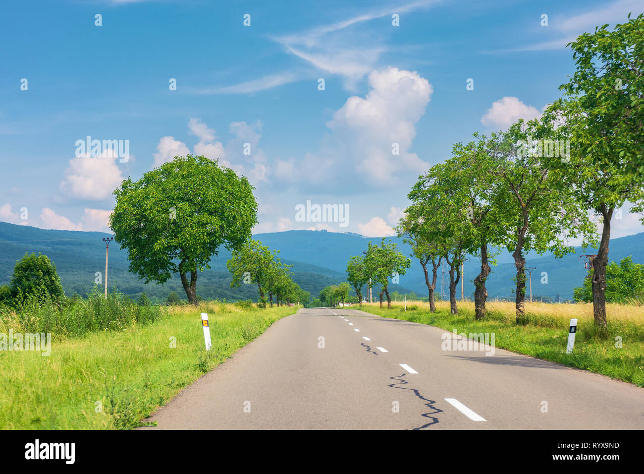 countryside road in to the mountains. trees and rural fields on both sides along the way. wonderful sunny weather with fluffy clouds on a blue summer  Stock Photo