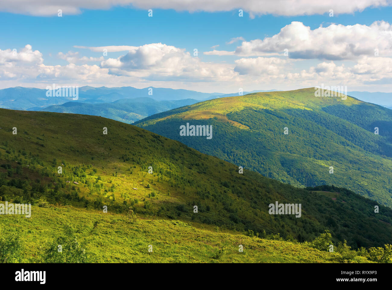 beautiful mountain landscape in summer afternoon. green alpine meadows and forested hills. ridge in the distance. beautiful nature scenery with fluffy Stock Photo