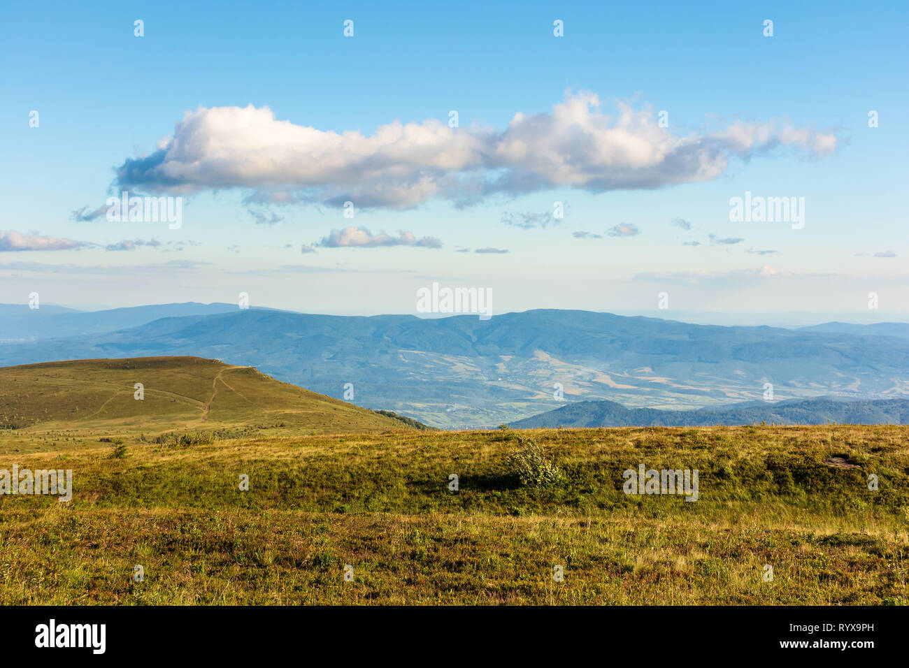 mountain scenery in summer afternoon. fluffy cloud on a blue sky above the grassy alpine meadow on a hill. beautiful carpathian landscape in evening l Stock Photo