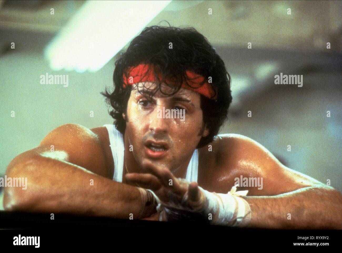 Sylvester Stallone Rocky Ii High Resolution Stock Photography and ...