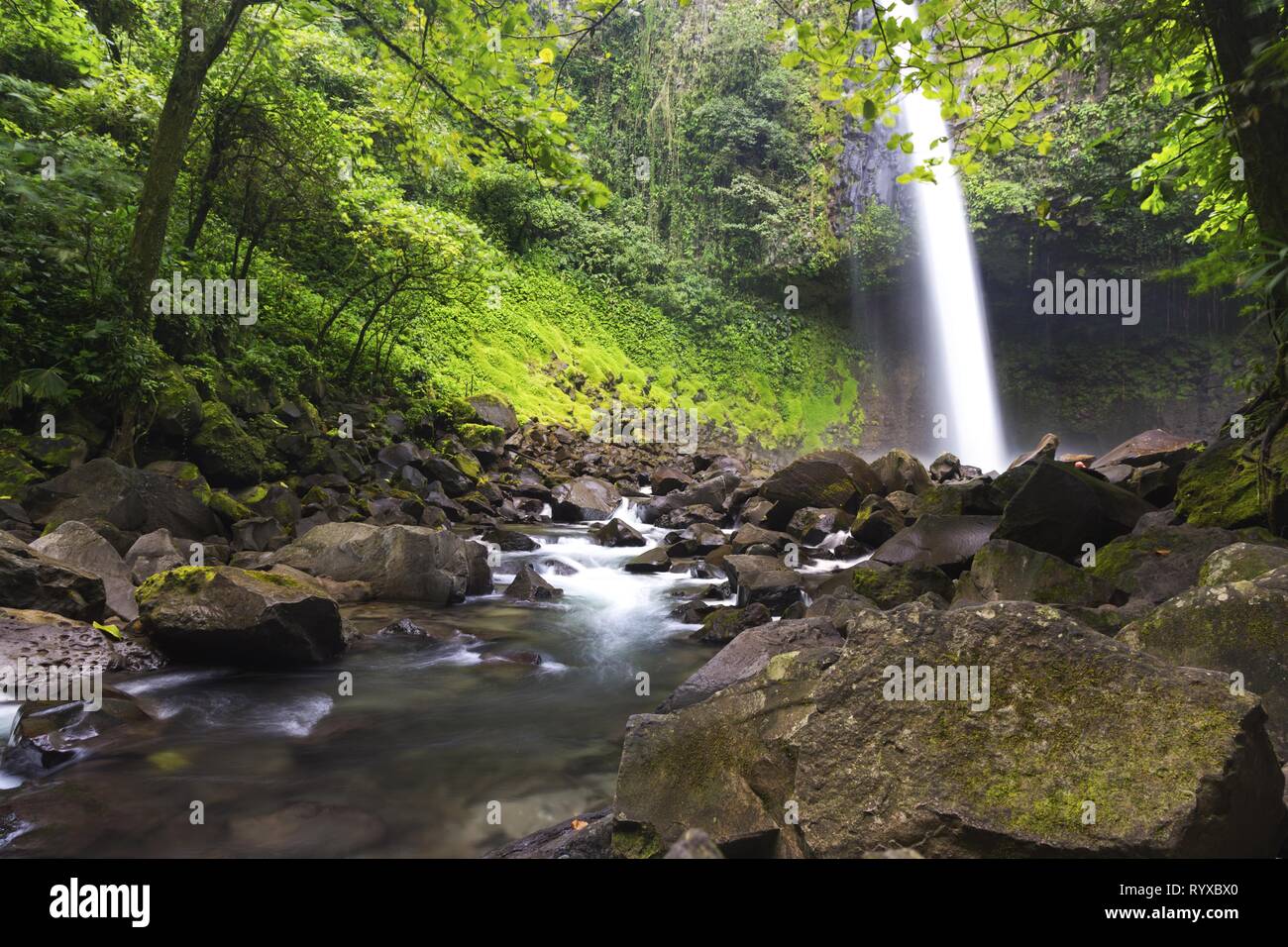 Beautiful Cascading Waterfall in Costa Rica Tropical Rainforest Jungle near La Fortuna in Arenal Volcano National Park Stock Photo