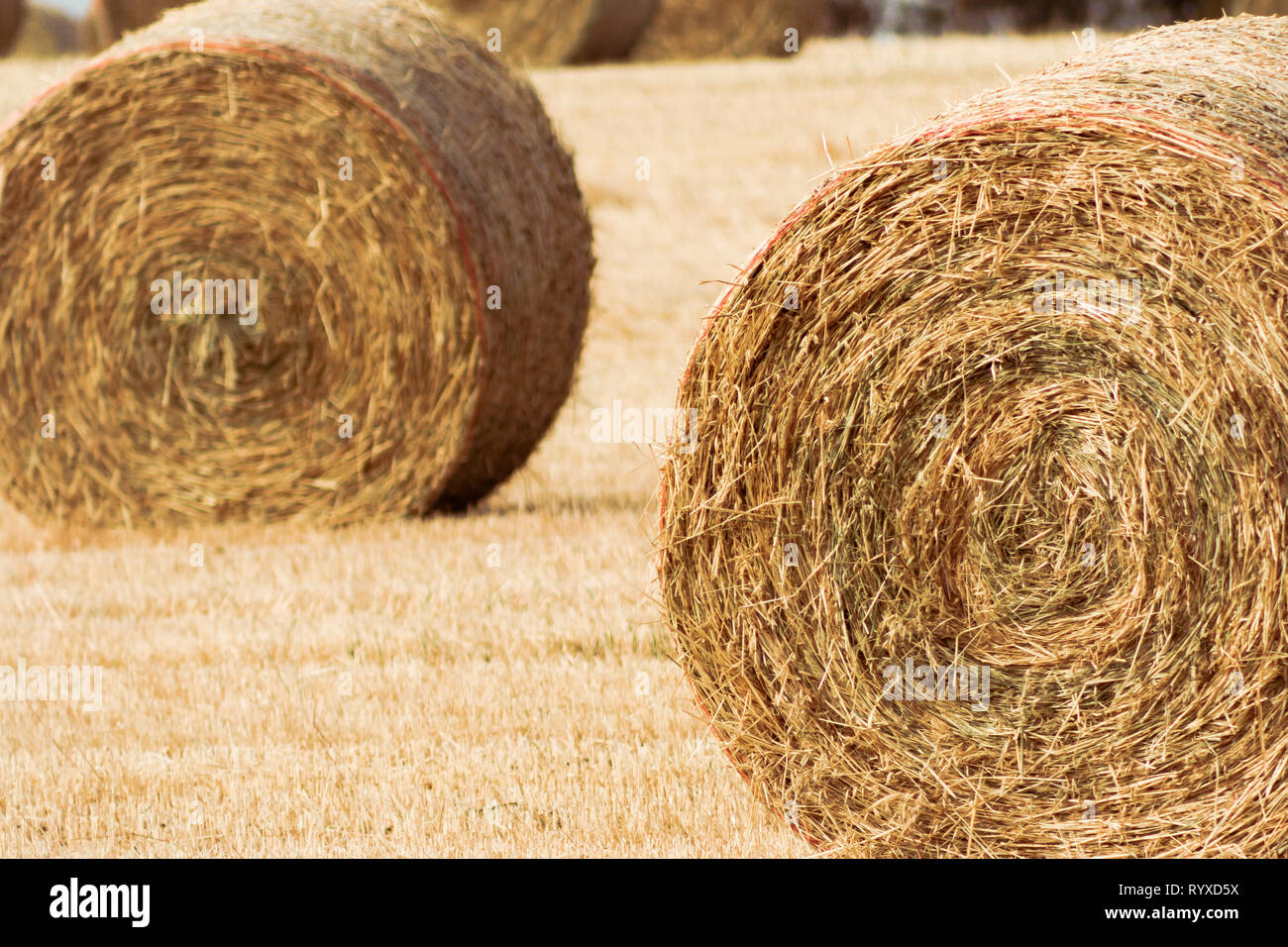 Hay Rolls In The Field High Resolution Stock Photography and Images - Alamy