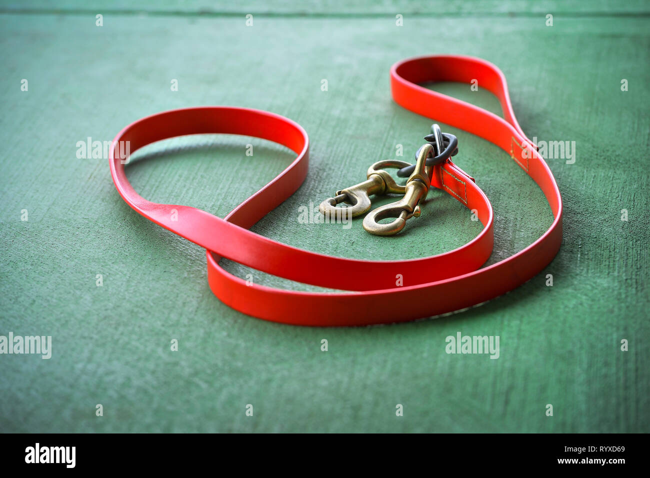 Leather horse lead laying on the green concrete surface Stock Photo Alamy