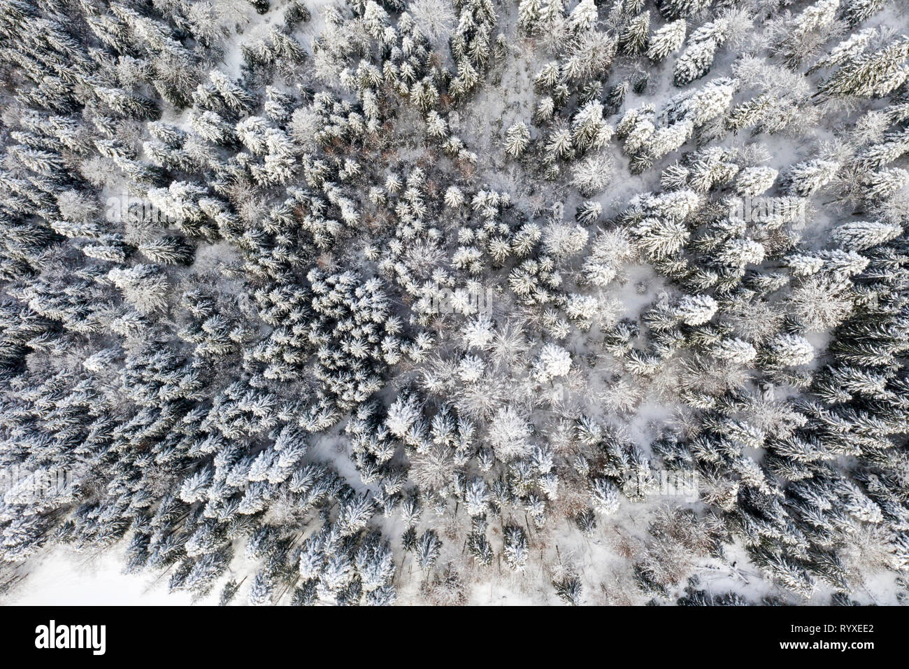 Drone flight above snowy frozen hi-res stock photography and images - Alamy