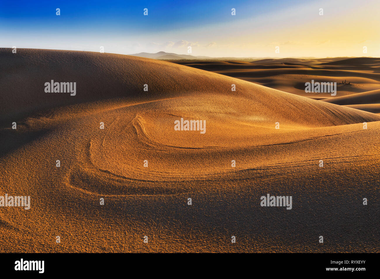 Sun lit surface of sand dunes at sunrise with untouched landscape and surface of desert on Pacific coast of australia in Stockton beach. Stock Photo