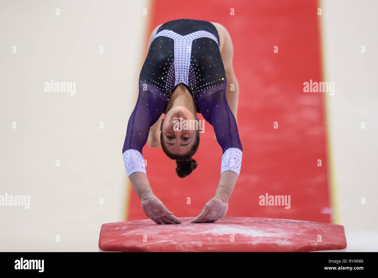 Liverpool, UK. 15th Mar, 2019. Teegan Milligan (South Essex Gymnastics) performs pommel horse under WAG Junior - Sub Division 2, during the 2019 Gymnastics British Championships at M&S Bank Arena on Friday, 15 March 2019. LIVERPOOL ENGLAND. (Editorial use only, license required for commercial use. No use in betting, games or a single club/league/player publications.) Credit: Taka G Wu/Alamy News Credit: Taka Wu/Alamy Live News Stock Photo