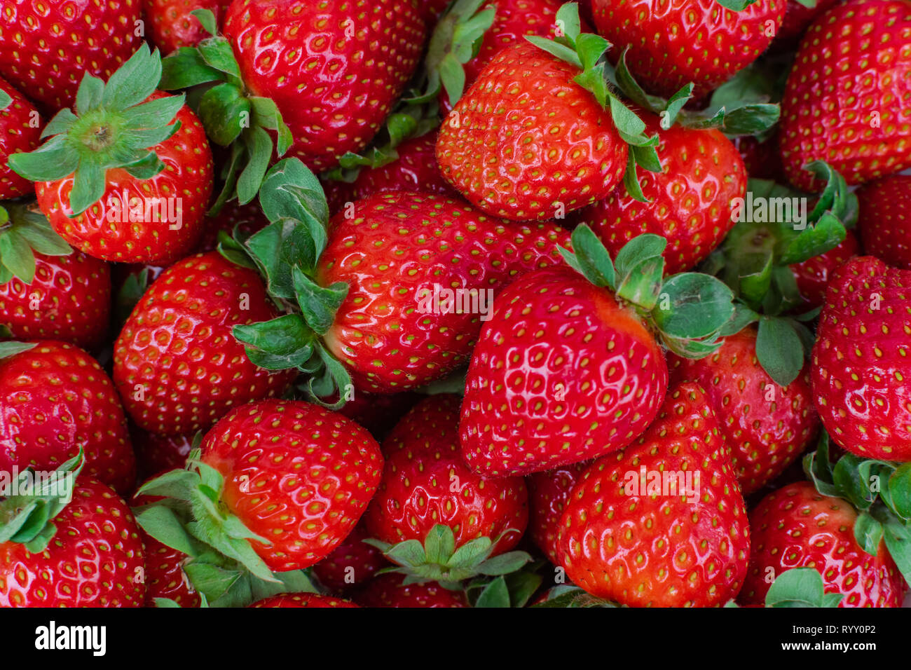 Strawberries background group fresh hi-res stock photography and images ...