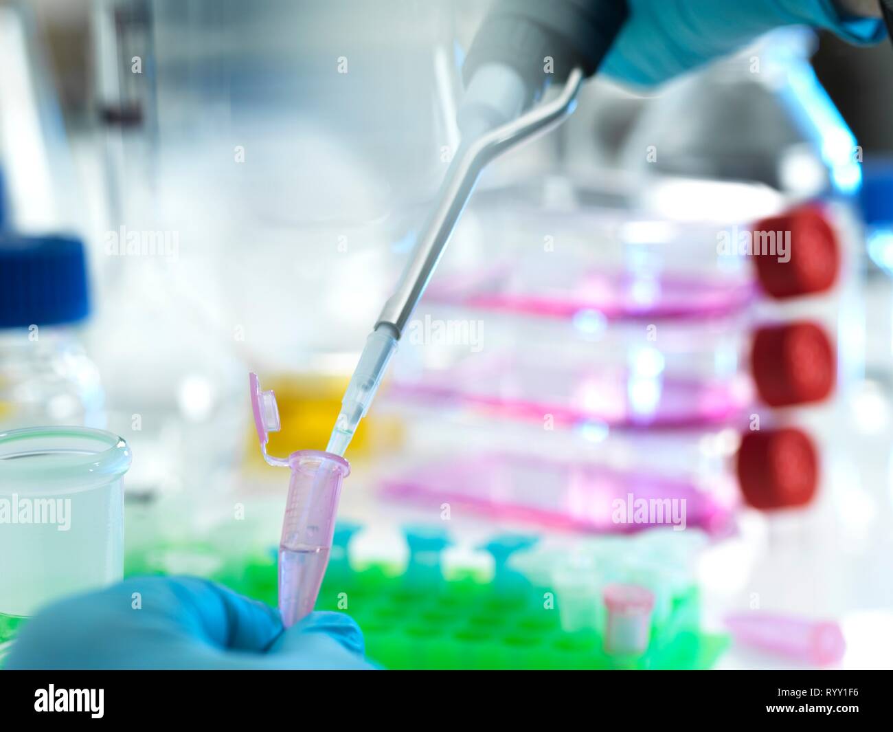 Scientist pipetting a sample into a eppendorf tube during an experiment in the laboratory. Stock Photo