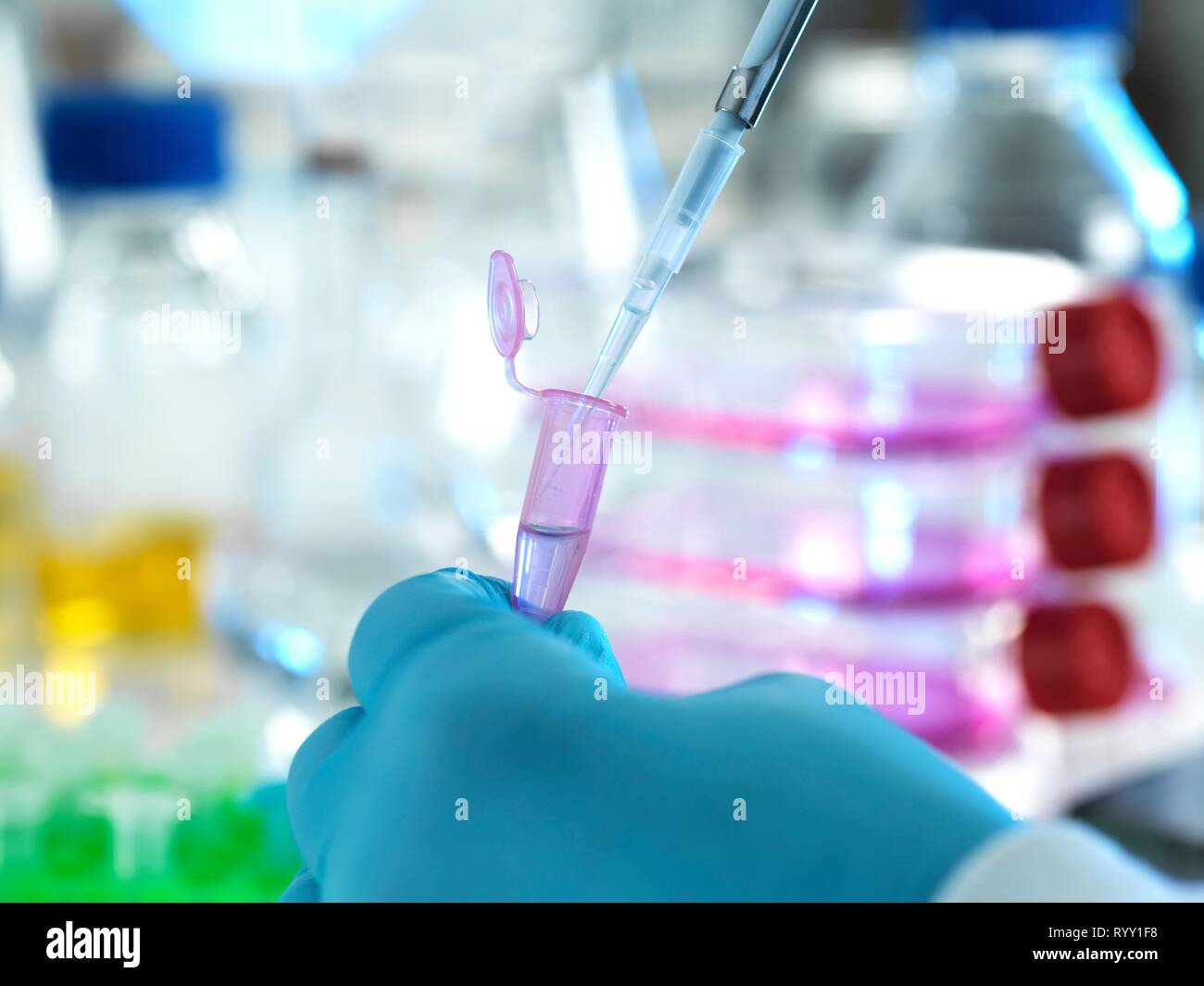 Scientist pipetting a sample into a eppendorf tube during an experiment in the laboratory. Stock Photo