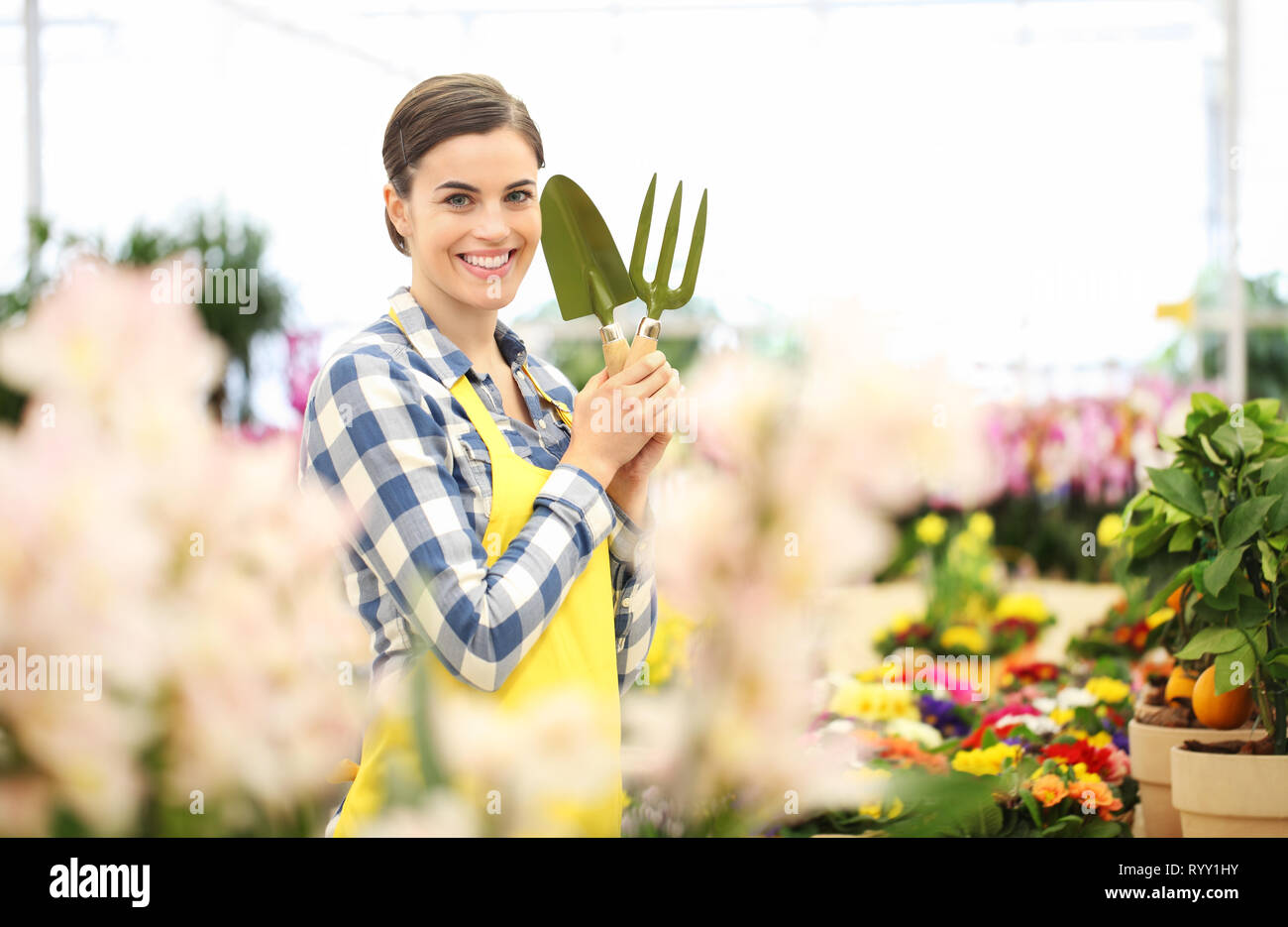 smiling woman in garden of flowers with garden tools, spring concept Stock Photo